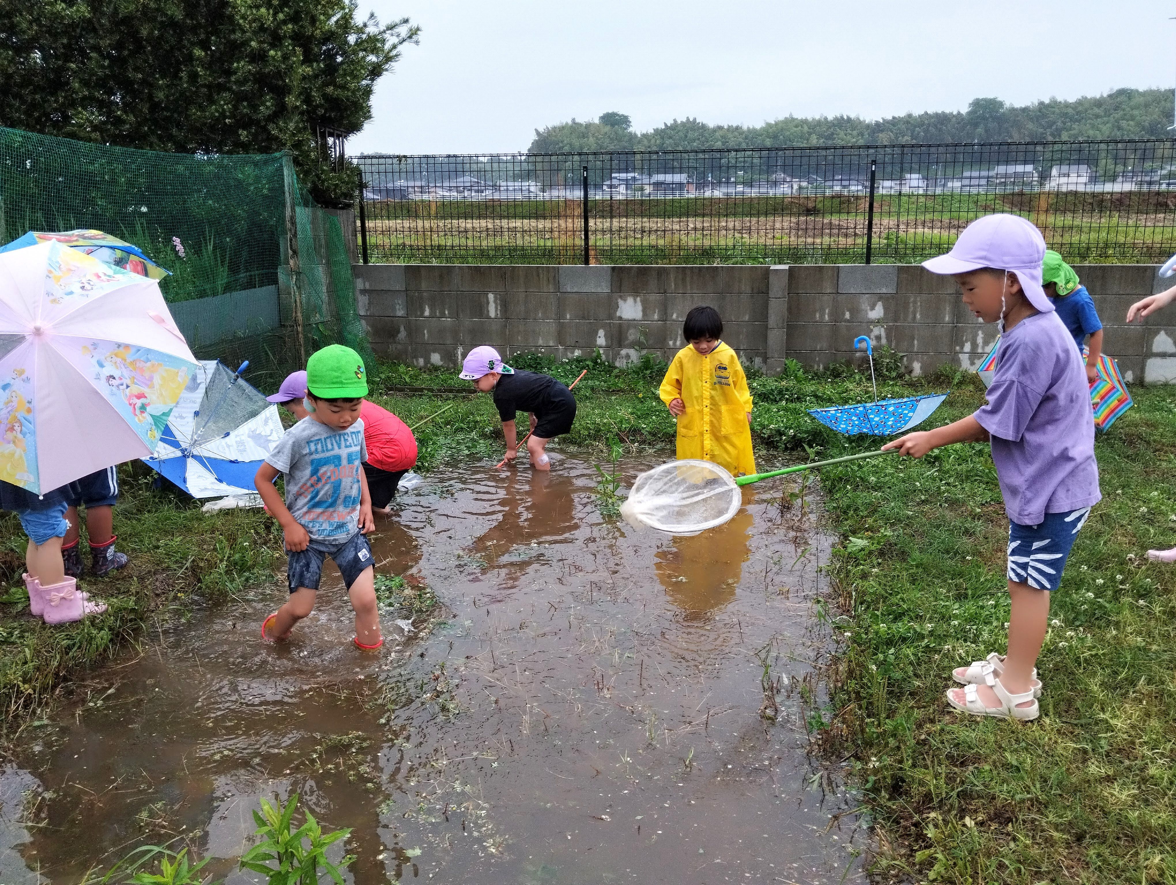 見て、触れて、完成をそだてる