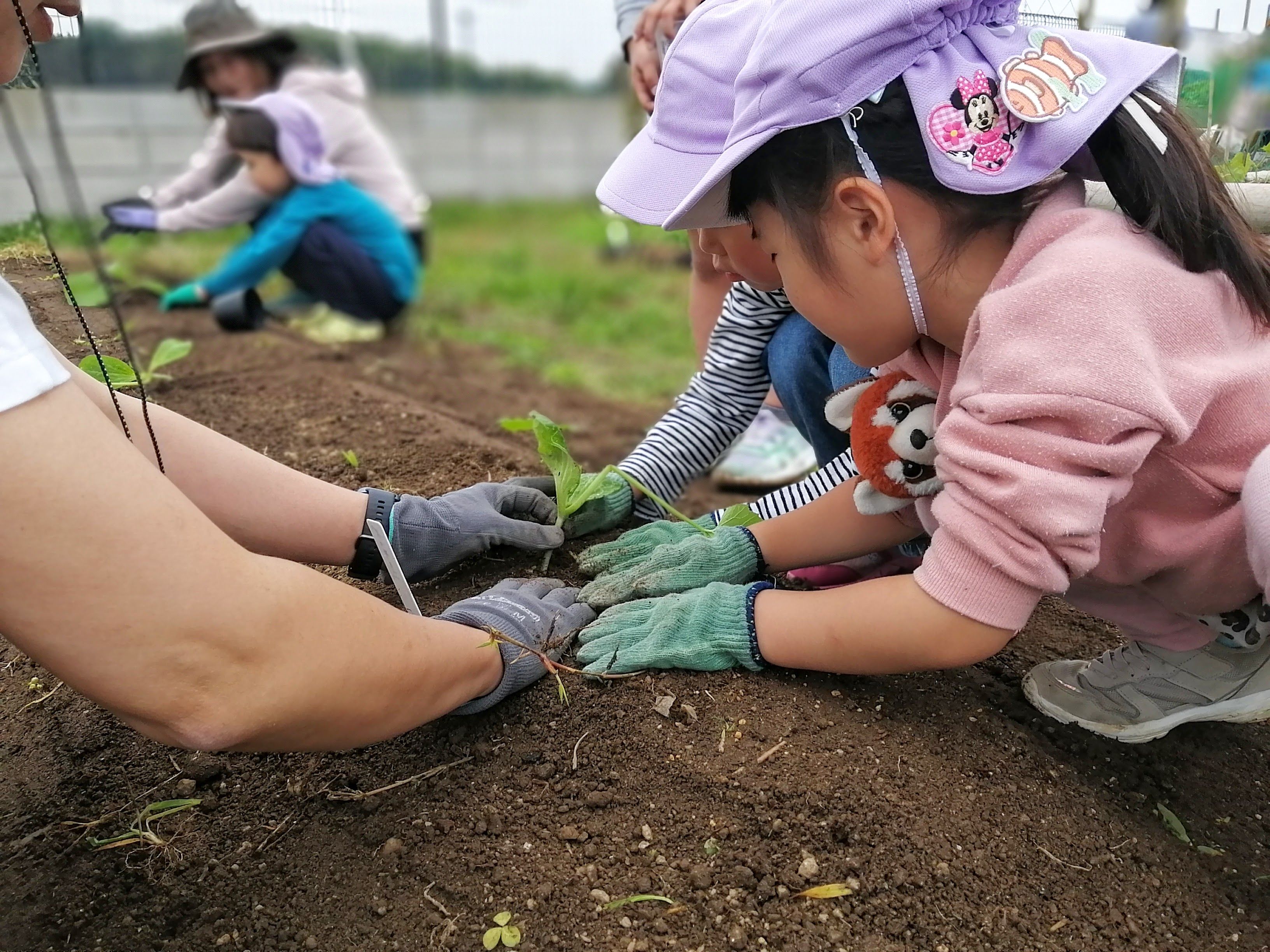 見て、触れて、完成をそだてる
