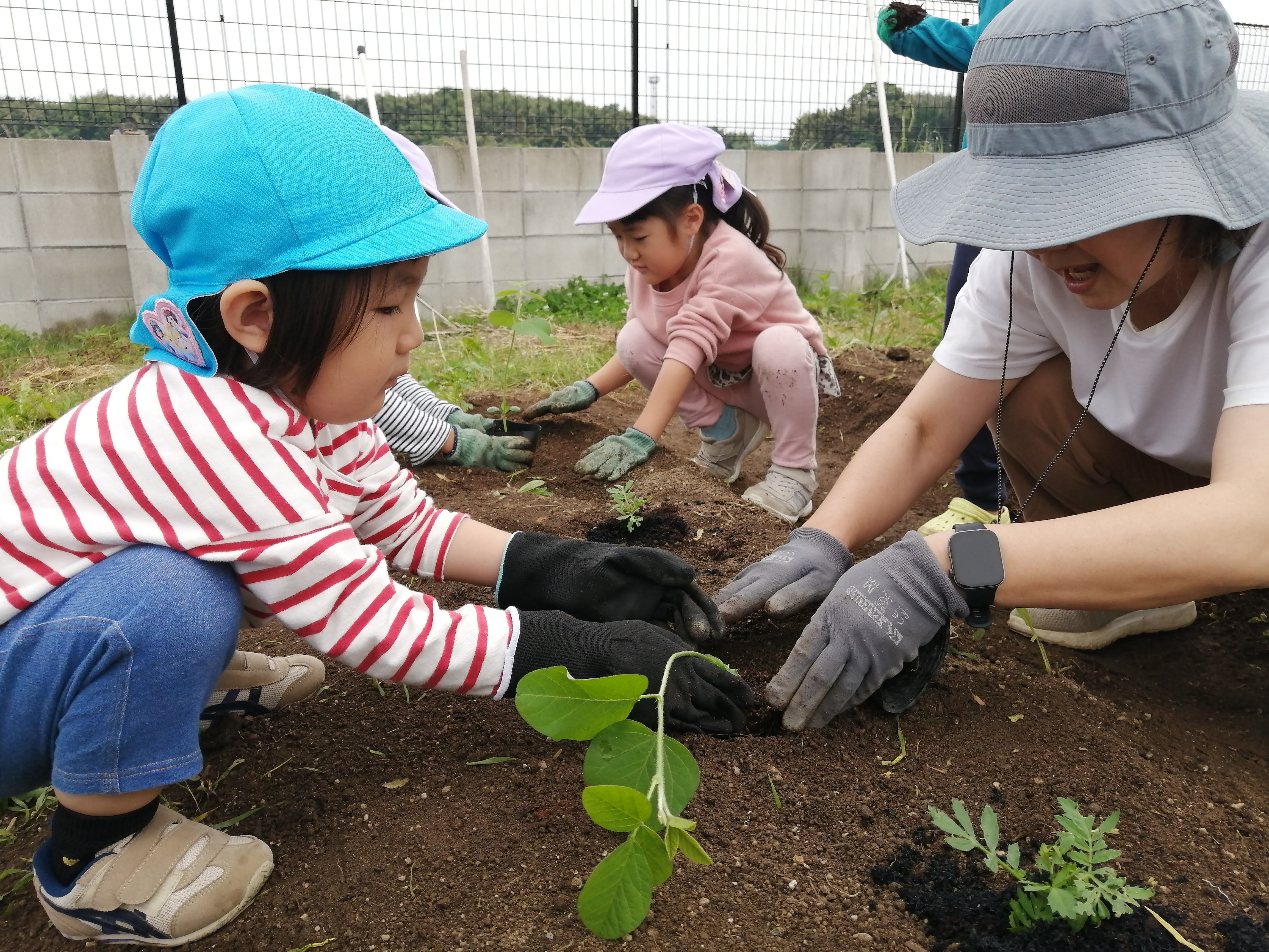 見て、触れて、完成をそだてる