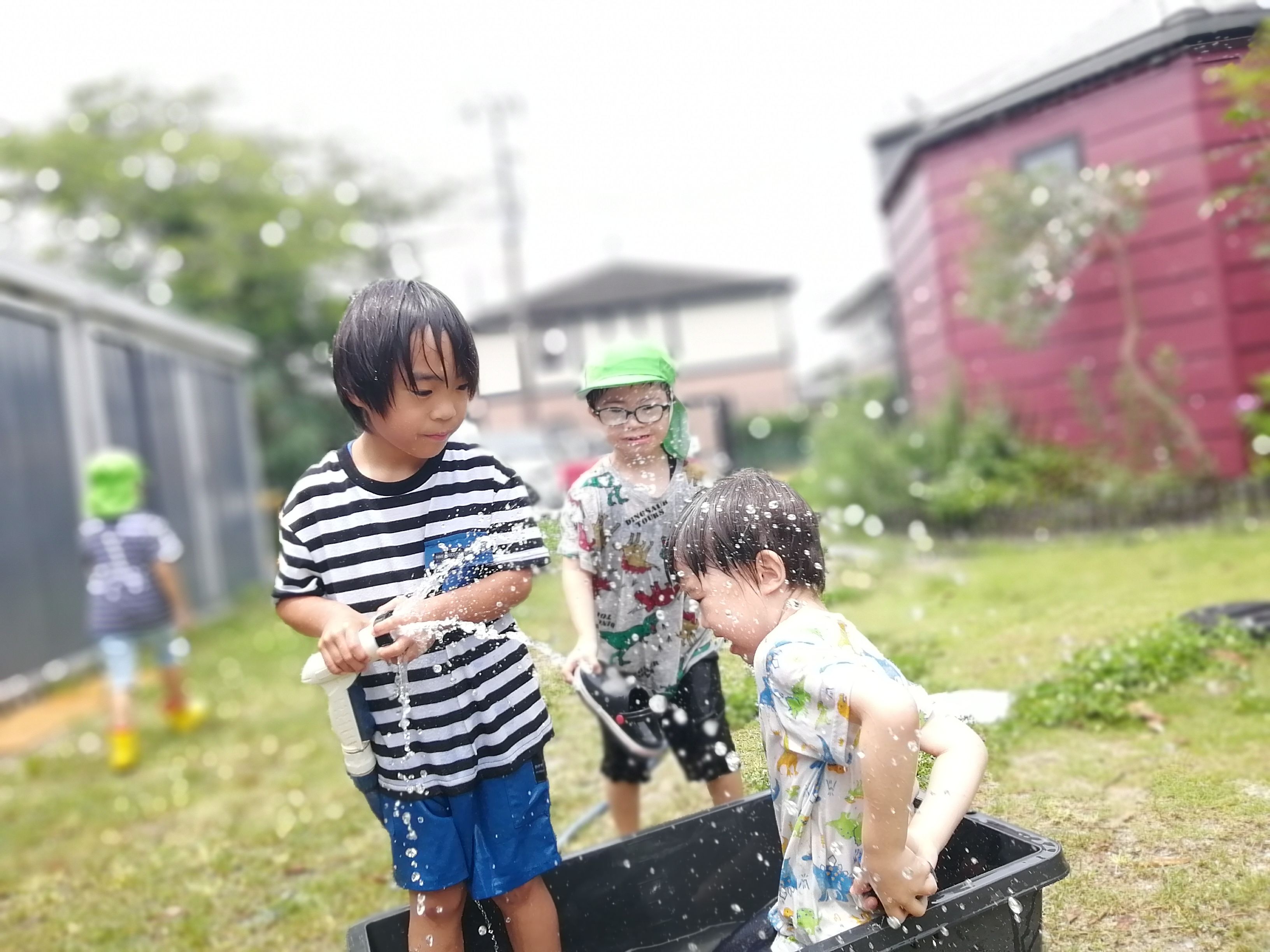 見て、触れて、完成をそだてる
