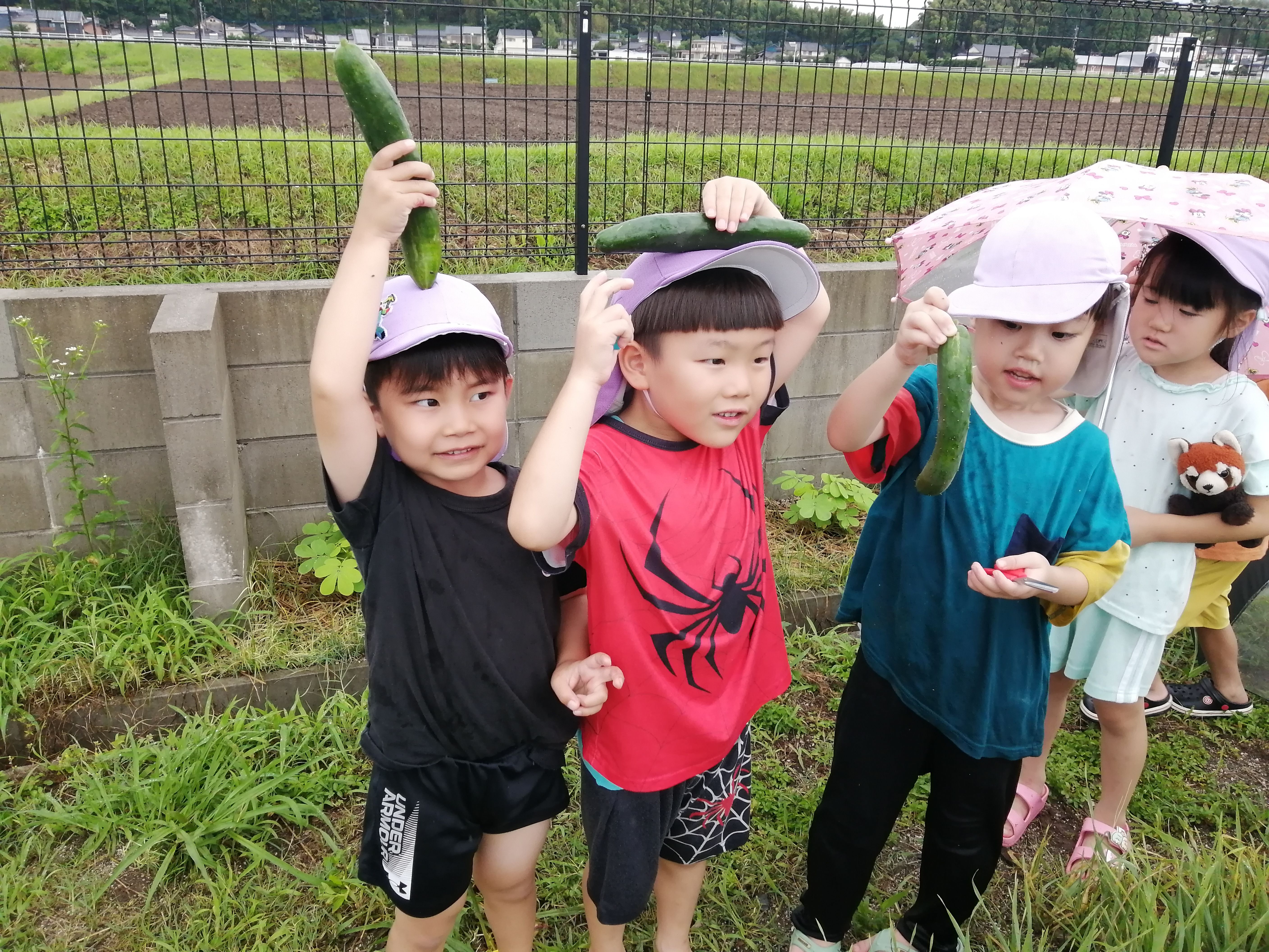 見て、触れて、完成をそだてる